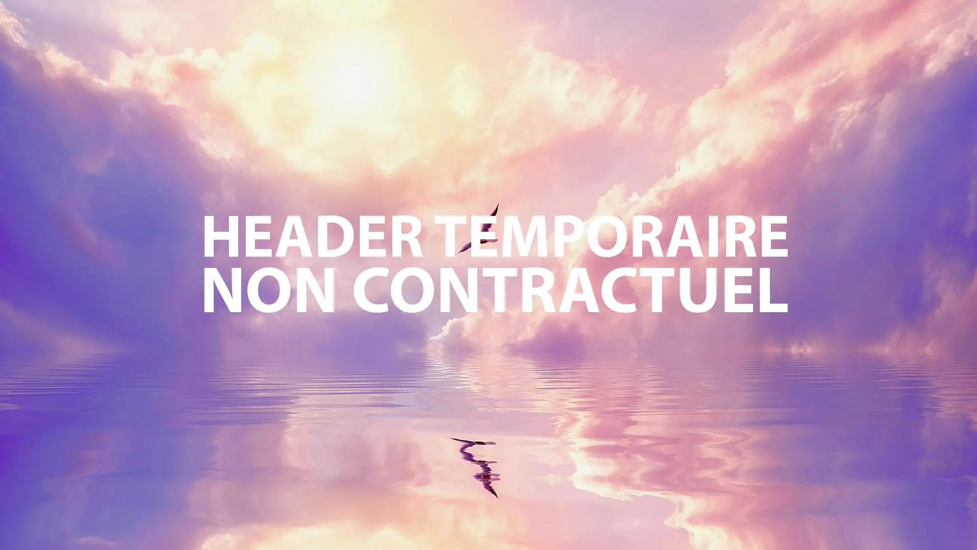 header temporaire