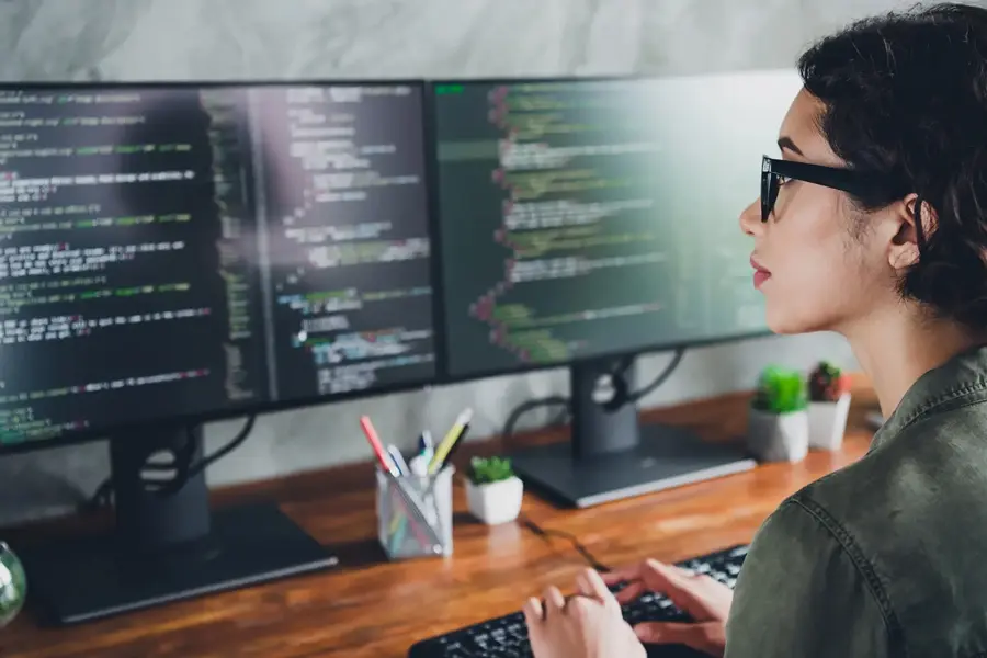 Qu'est-ce qu'un Consultant informatique ?